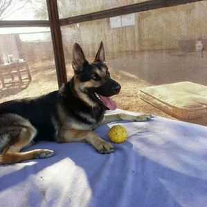 Meet your Posher, Roberta